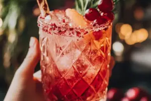 Cranberry Ginger Ale Mocktail Cranberry Ginger Ale Mocktail