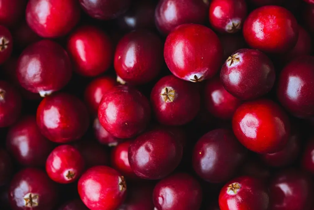 Homemade Cranberry Sauce