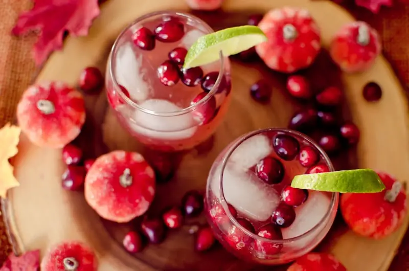 Thanksgiving Cranberry Spritzer